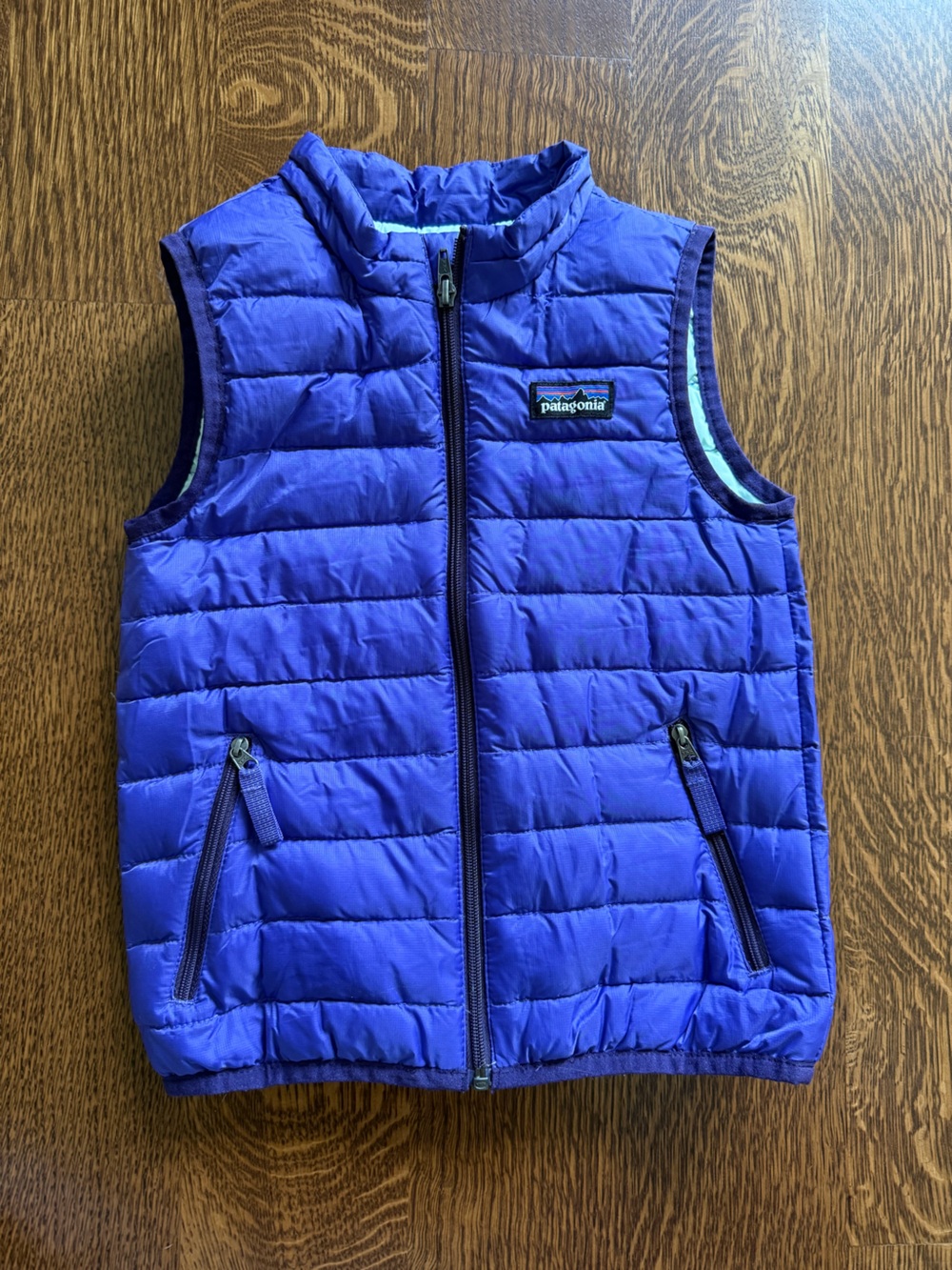 Patagonia Kids Purple down Vest